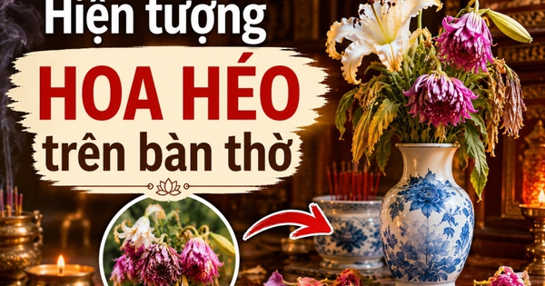 Hiện tượng hoa héo trên bàn thờ