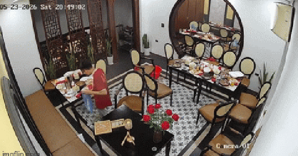 Nam nhân viên đang dọn bàn hốt hoảng bỏ chạy vì thứ dưới sàn, quản lý lập tức gọi ngay cho nhóm khách quay lại