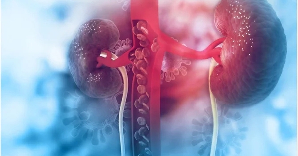 6 cách đào thải acid uric một cách tự nhiên, ngừa gout, bảo vệ thận: Nhiều người chưa biết để làm