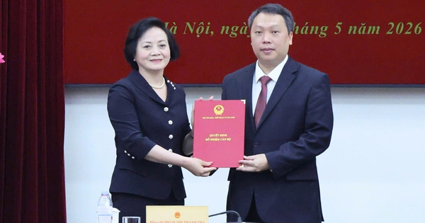 Phó Thủ tướng trao quyết định tiếp nhận, bổ nhiệm Thứ trưởng Bộ VH-TT&DL