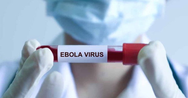Bệnh Ebola tử vong đến 90%, Bộ Y tế ra chỉ đạo khẩn, yêu cầu cách ly nghiêm ngặt