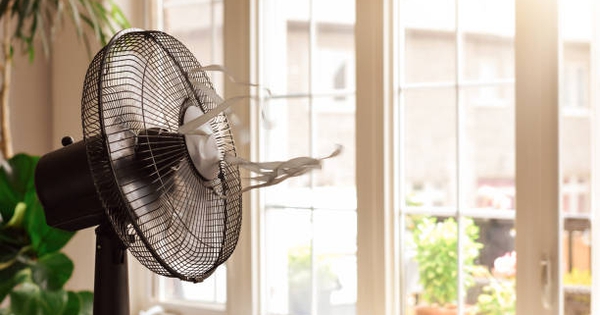 Loại quạt nào tốn điện nhất? Lời khuyên để dùng quạt điện mát không kém điều hòa mà vẫn tiết kiệm, tốt cho sức khỏe