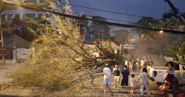 Hà Nội: Sau nắng nóng kỷ lục, mưa to gió lớn giật tung cây xanh, ôtô bị đè bẹp giữa phố