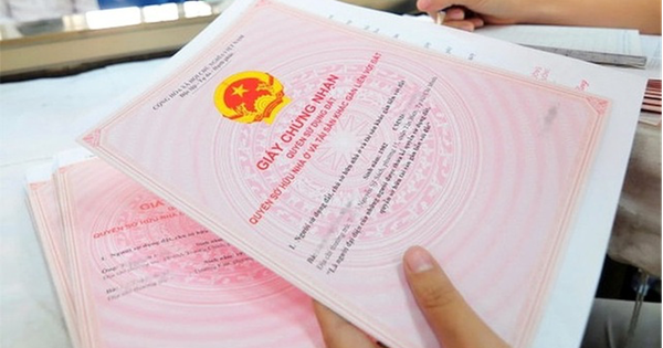 Sau hơn 20 năm làm dâu, một tờ giấy khước từ tài sản khiến tôi đau đớn hơn cả mất tiền