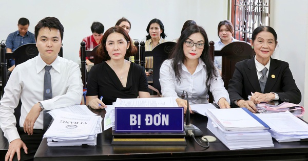 Tạm dừng phiên ly hôn 1.200 tỉ để làm rõ việc Bộ Công an khám xét