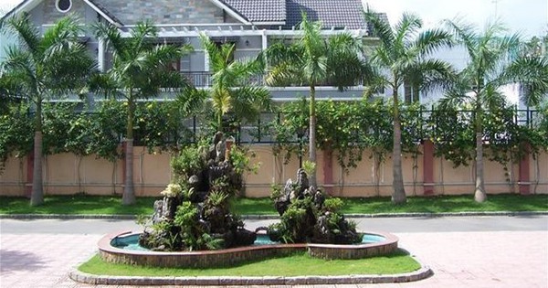 4 loại cây người xưa ưu tiên trồng trước nhà: Hóa ra đều có lý do