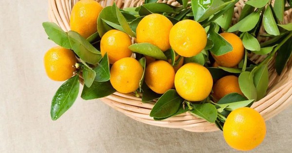 5 loại “quả vàng” được ví như cao thủ tiêu đờm: Ăn đúng cách giúp làm sạch phổi, giảm ho, cổ họng dễ chịu