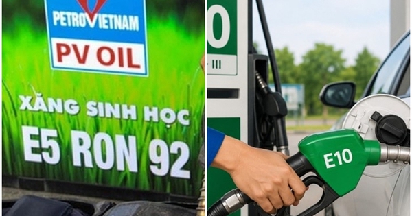 Xăng E5 và E10 khác nhau như thế nào?