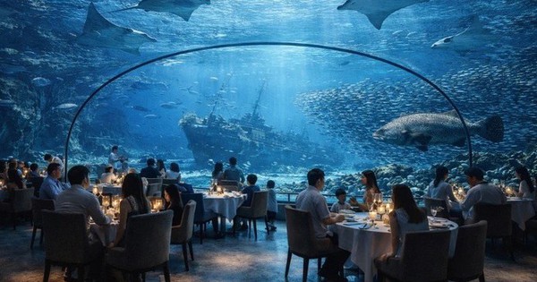 Việt Nam sắp có công viên thủy cung lớn nhất thế giới: Rộng hơn sân Mỹ Đình, nằm ở đâu?