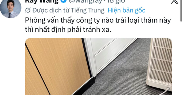 Một bức ảnh đạt hơn 12 triệu lượt xem: Cảnh báo “công ty dùng loại thảm này nên tránh xa”, dân mạng chia phe tranh cãi