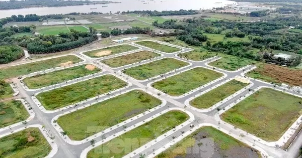 Công an TPHCM xác minh thông tin 2,5 triệu thửa đất