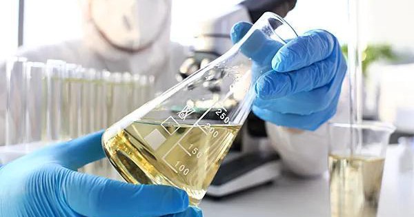 Sau nhiều năm, Nga tìm ra công thức để đuổi kịp châu Âu, biến thứ bỏ đi thành món hàng 