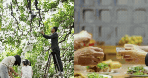 Tôi chi 2 tỷ xây nhà 680m² cho bố mẹ ở quê và nhận ra: Tiền không đặt đúng chỗ thì càng để càng tốn