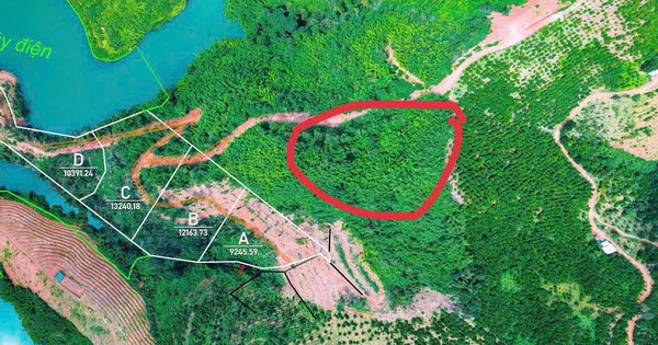 Tin vui cho người mua 