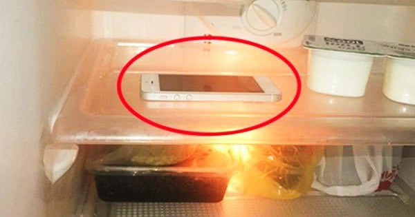 Để quên điện thoại trong tủ lạnh có sao không? Nhà sản xuất đưa đáp án