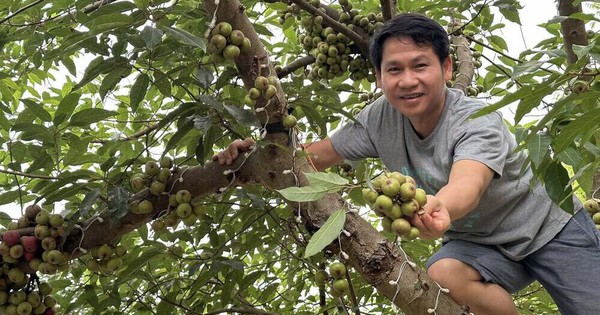 'Ông hoàng nhạc đỏ' mê làm nông, có nhà vườn rộng 4.000m²