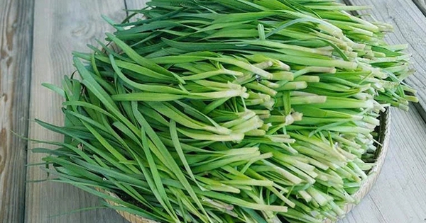 Những tác dụng của lá hẹ với sức khỏe ít người biết