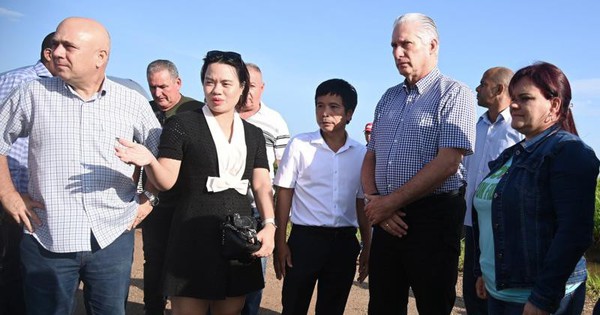 Việt Nam giúp tạo điều chưa từng thấy trên đồng ruộng Cuba, Chủ tịch Díaz-Canel nói: 'Đây là thịnh vượng'
