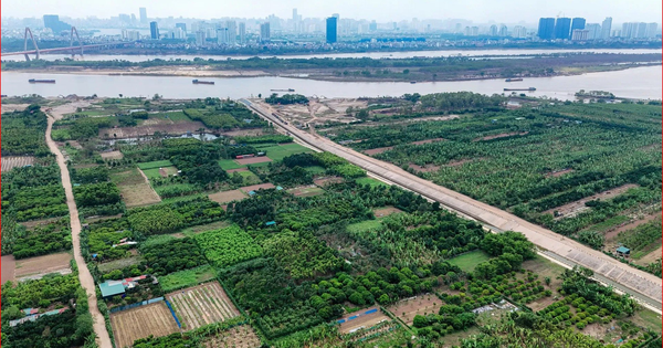 Tin vui: Người có đất nông nghiệp muốn chuyển đổi lên thổ cư thuộc trường hợp này sẽ được giảm 70% tiền sử dụng đất