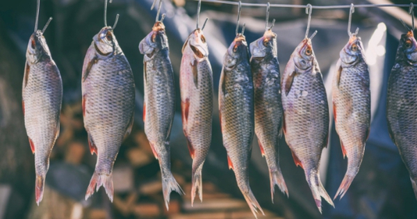 4 loại cá làm tăng nguy cơ mắc ung thư nếu lạm dụng: Thích tới mấy cũng phải hạn chế