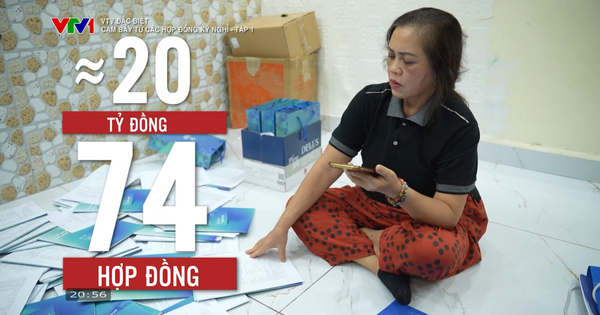 Cần làm rõ các doanh nghiệp có dấu hiệu lừa đảo 'hợp đồng kỳ