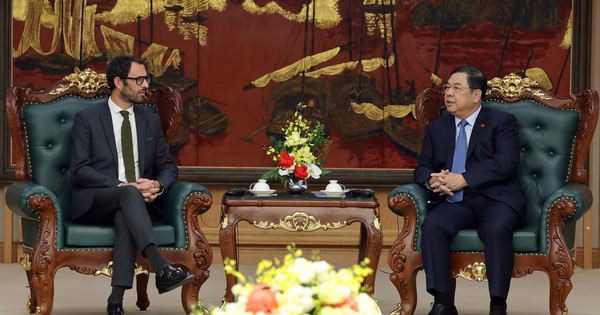 Gặp Phó Thủ tướng, lãnh đạo DN lớn của Pháp ngỏ ý 