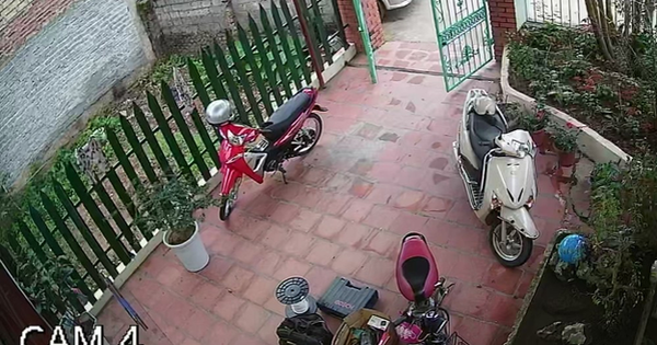Cho con về quê chơi với ông bà nhưng những gì nhìn thấy qua 