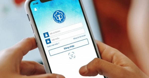avatar1781146510156 1781146510503346512478