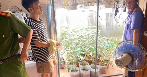 Ra lệnh khám xét khẩn cấp chỗ ở, bắt giữ Hoàng Quý Nhân SN 1