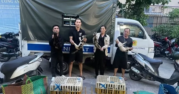 Khám xét bãi xe Trúc Quỳnh, tạm giữ hình sự Nguyễn Thị Thanh