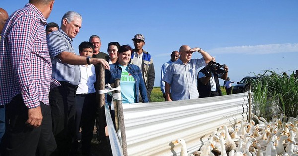 Một mô hình độc lạ “Made by Vietnam” xuất hiện trên cánh đồng lúa ở Cuba
