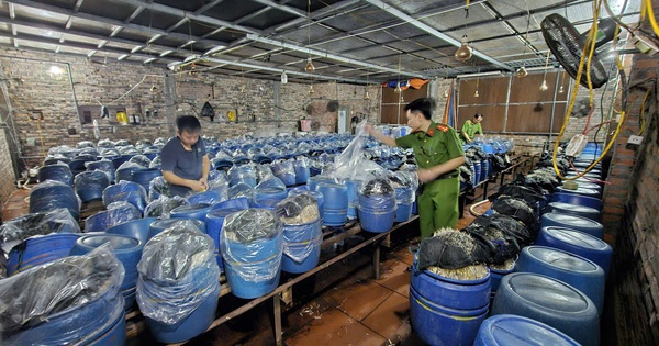 Tuồn 1.000 tấn giá đỗ ngâm hóa chất ra thị trường, 3 người bị bắt