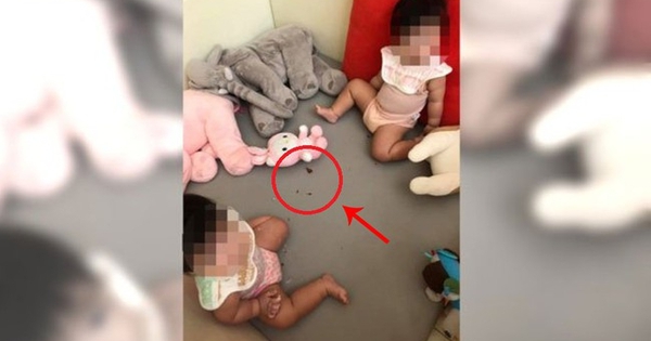 Tá hỏa khi thấy con trai 9 tháng tuổi cho gián vào miệng nhai, mẹ chỉ kịp lấy ra một chiếc chân gián