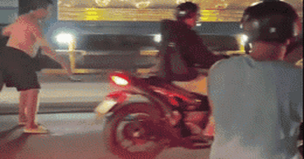 Cá sấu bò, trườn 