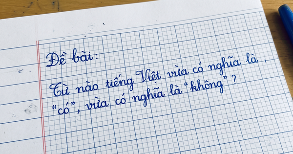Trong tiếng Việt có một từ vừa là có vừa là không