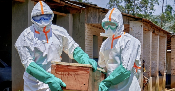 Nguy cơ tái diễn thảm kịch Ebola 2014: WHO cảnh báo số ca mắ