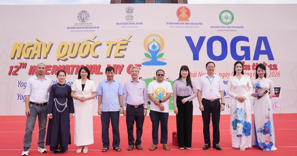 Dấu ấn Ngày Quốc tế Yoga 2026: Sức bật mới của phong trào Yo