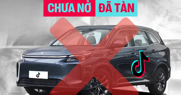 Ô tô TikTok 'chưa nở đã tàn': Không có kế hoạch ra mắt xe lẫ