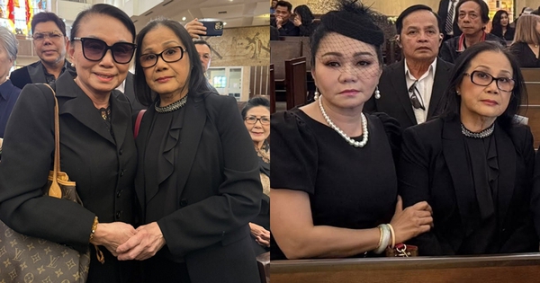 "Nữ hoàng băng nhạc" Tài Linh xuất hiện tuổi 70, ai cũng ngỡ