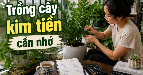Cây kim tiền được xem là “hút tài lộc”, nhưng có 3 kiểu gia 