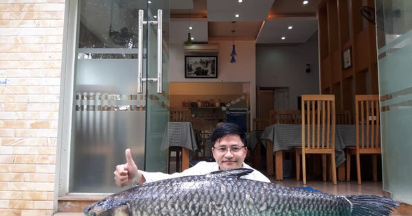 "Thủy quái" sông Đà và bí mật phía sau kích thước 