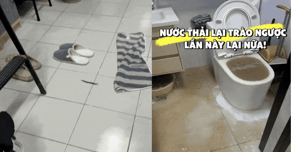 Tôi thà mua căn hộ tầng 4, 14 hay 18 còn hơn chọn 3 tầng này