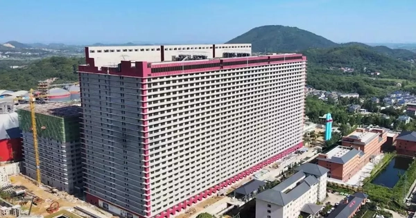 Hà Nội nghiên cứu tổ hợp chăn nuôi lợn cao tầng tạ