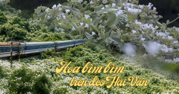 Việt Nam có cung đường đang xảy ra hiện tượng "tuy
