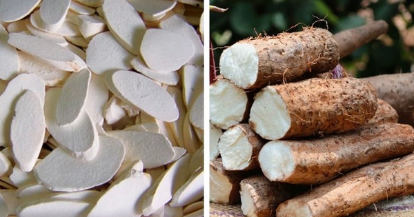 Tác dụng của củ hoài sơn tươi với sức khỏe