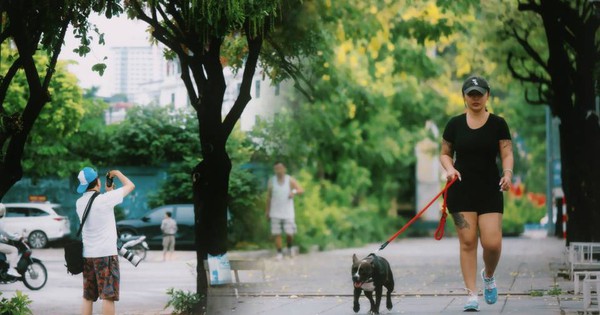 Hà Nội sáng nay thật lạ: Giữa tháng 6 mà se lạnh như mùa thu