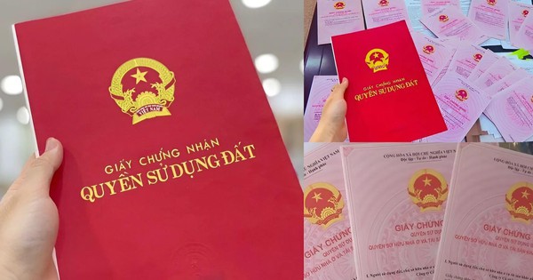 Năm 2026, những trường hợp sau sẽ bị thu hồi Sổ đỏ
