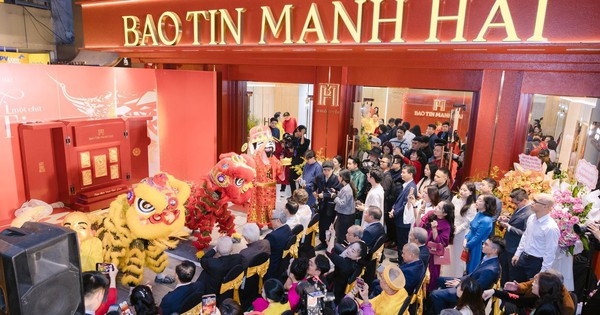 Khám phá hệ sinh thái "Rừng Vàng Biển Bạc": Bảo Tín Mạnh Hải