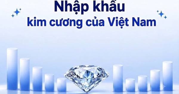 PNJ chỉ mua kim cương từ Hong Kong và Thái Lan: Cục Hải quan hé lộ quy mô nhập khẩu kim cương của Việt Nam
