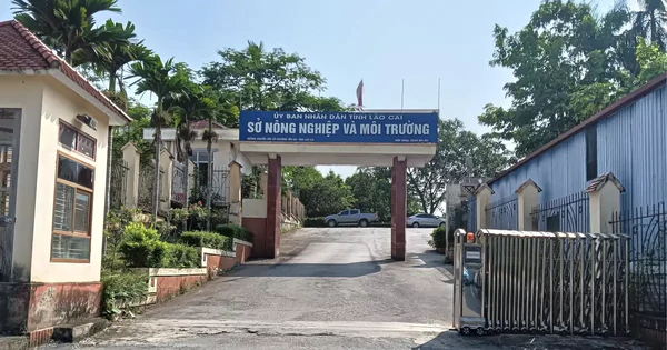 Nam cán bộ Sở Nông nghiệp và Môi trường Lào Cai tử vong trong tư thế treo cổ tại cơ quan